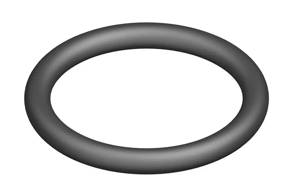 Schwarzer O-Ring von Bosch, kreisförmig ohne innere Struktur, auf weißem Hintergrund. Der Ring hat eine gleichmäßige Breite und weist eine glatte Oberfläche auf.